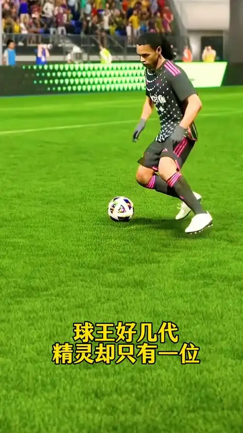 平衡与协调